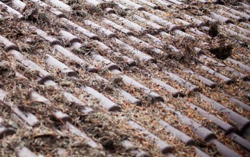 Boat Of Garten roof cleaning companies