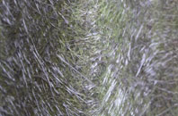 Boat Of Garten fibreglass roof work